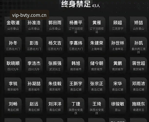 宝威体育最新版本 掌握足坛禁足名单查询技巧,宝威体育老用户分享观赛必备知识